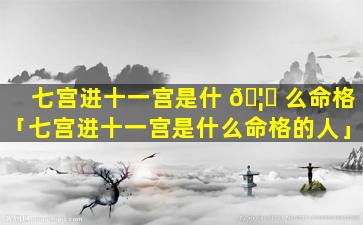 七宫进十一宫是什 🦅 么命格「七宫进十一宫是什么命格的人」